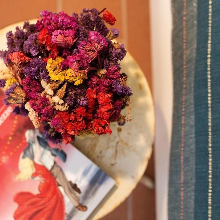 At Home In Maremma Istia dʼOmbrone Rom bilde