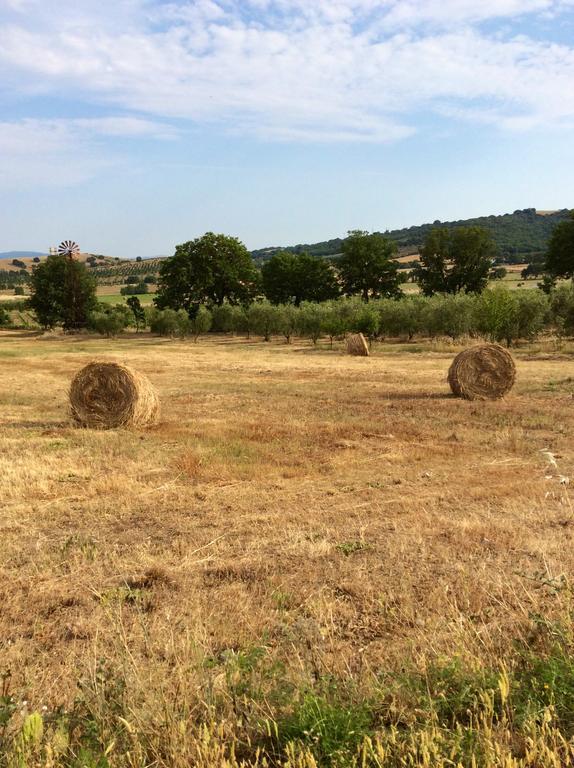 At Home In Maremma Istia dʼOmbrone Eksteriør bilde