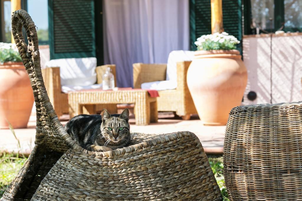 At Home In Maremma Istia dʼOmbrone Rom bilde